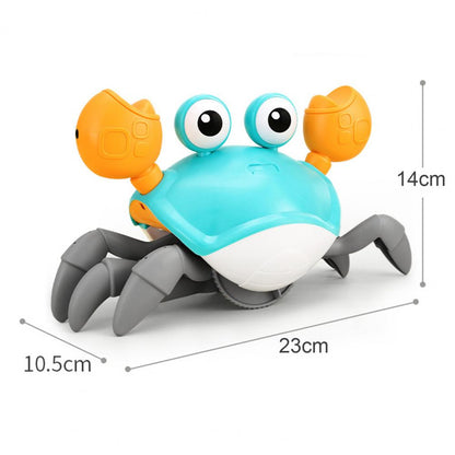 Crawling Crab Pet Toy Hours of fun