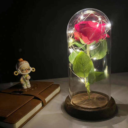 Valentines Day Gift Rose Flowers LED Light in Glass