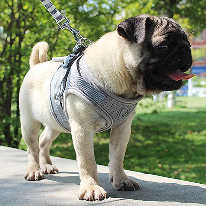 Vest Harness Leash for dogs Adjustable Mesh Vest Dog Harness Collar Chest Strap Leash Harnesses With Traction Rope XS/S/M/L/XL